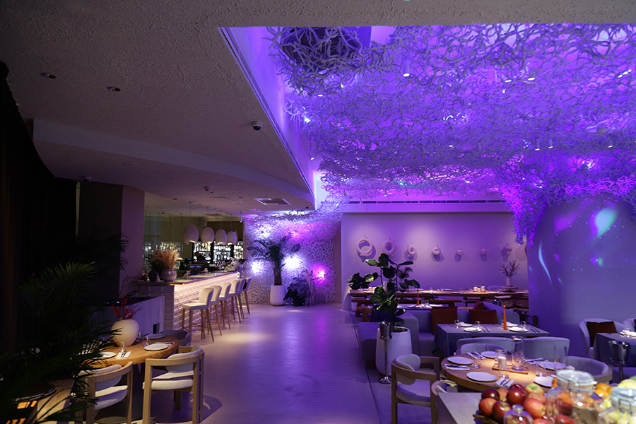 Explore the Menu | YOY Restaurant – Ukrainian Fine Dining in Dubai